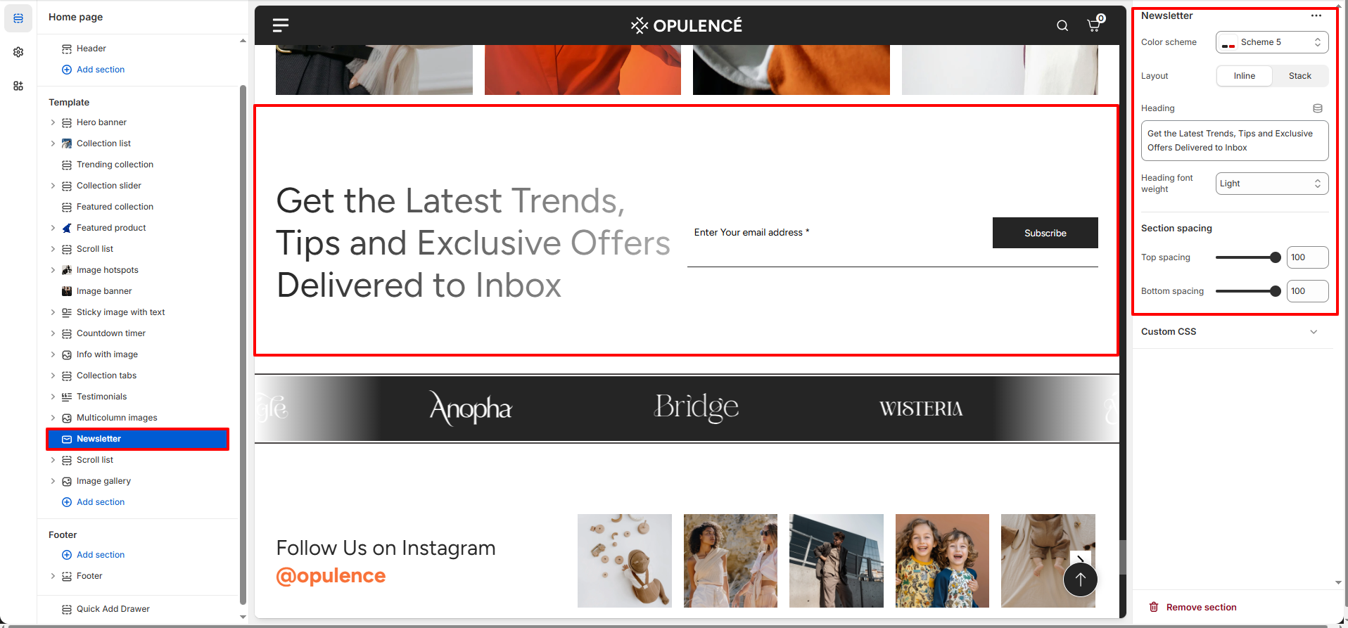 newsletter-section-settings