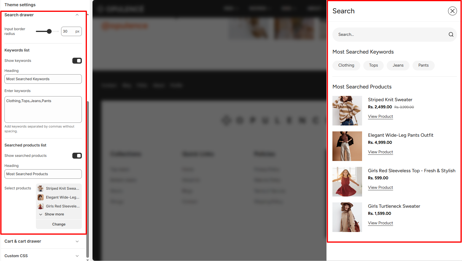 search-drawer-settings